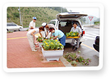 가로변 꽃식재 사업