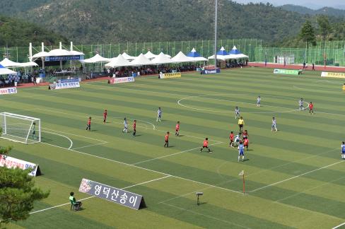 2015. 제3회 영덕대게배 국제 유소년축구대회 결승(U-12)