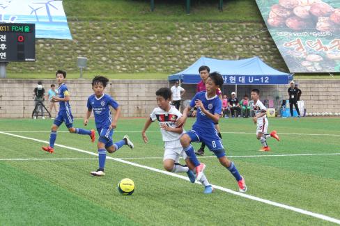 2017. 제5회 영덕대게배 국제유소년 축구대회 결승전