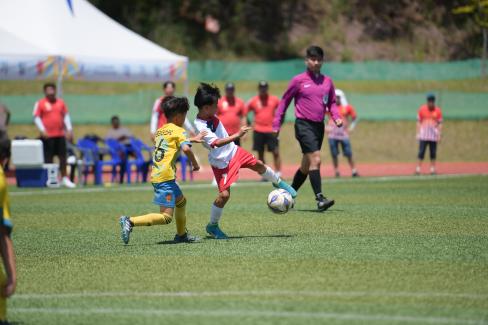2019 제7회 영덕대게배 국제유소년 축구대회 사진