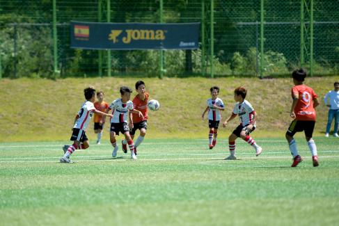2019 제7회 영덕대게배 국제유소년 축구대회 사진