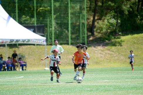 2019 제7회 영덕대게배 국제유소년 축구대회 사진