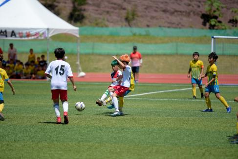 2019 제7회 영덕대게배 국제유소년 축구대회 사진