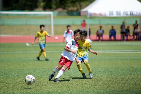 2019 제7회 영덕대게배 국제유소년 축구대회 사진