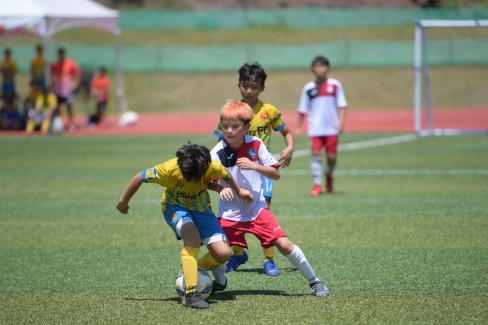 2019 제7회 영덕대게배 국제유소년 축구대회 사진