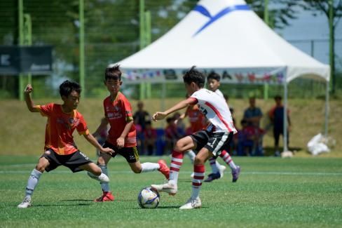 2019 제7회 영덕대게배 국제유소년 축구대회 사진
