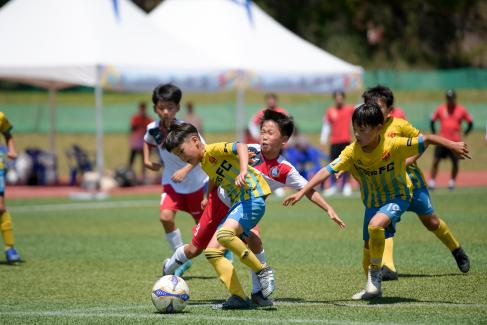 2019 제7회 영덕대게배 국제유소년 축구대회 사진