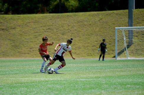 2019 제7회 영덕대게배 국제유소년 축구대회 사진