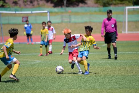 2019 제7회 영덕대게배 국제유소년 축구대회 사진