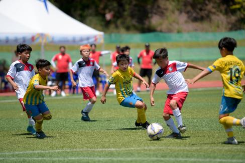 2019 제7회 영덕대게배 국제유소년 축구대회 사진