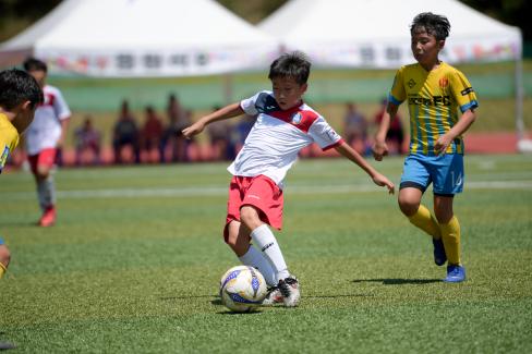 2019 제7회 영덕대게배 국제유소년 축구대회 사진