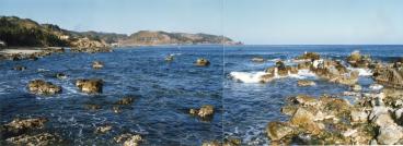 1990년대 축산 경정리