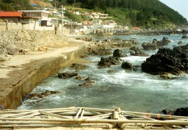 1993. 6. 5 차유마을 안길공사