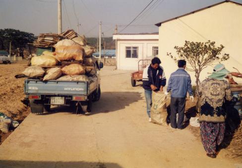 2001. 3월 축산면 자원재활용품 수거 사진