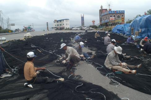 2004. 9월 남정면 구계리 그물 손질