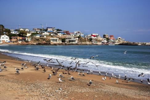 2007년 남정면 부흥리