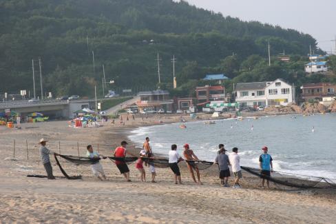 2007. 7월 남정면 장사해수욕장 후리그물