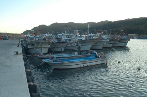 2004. 11월 축산면 경정 1리