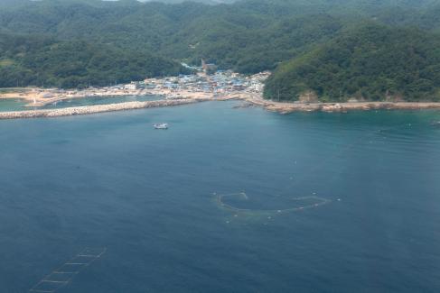 2010. 7월 축산면 경정 1리 사진