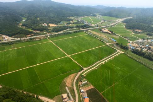 2010. 7월 축산면 도곡리
