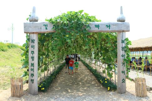 2009. 7월 영해면조롱박공원