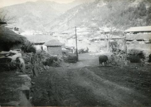 1961년 달산면 지붕개량 사업전 광경
