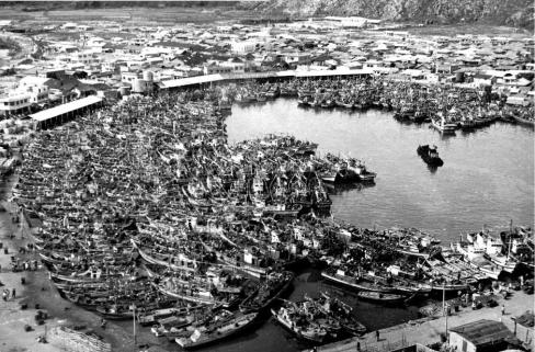 1970년대 축산항