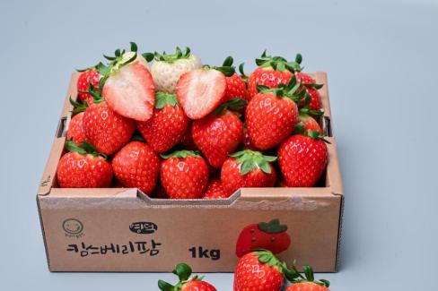 영덕 딸기 사진