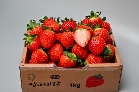 영덕 딸기 사진