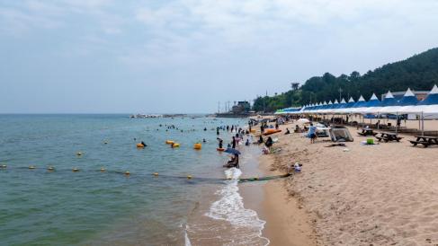 2024. 8월 영해 대진해수욕장 사진