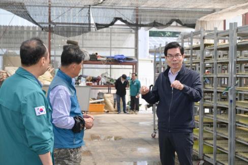 2025. 5. 13 남정면 넥센 상토흙 농가 피해