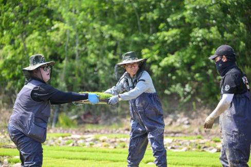 2025. 5. 14 남정면 상토피해 농가 일손돕기