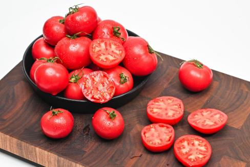 2025. 3월 영덕 토마토 사진