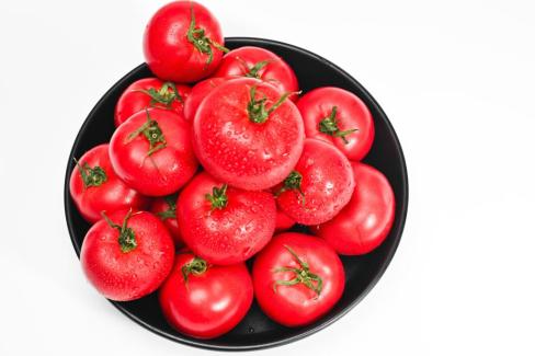 2025. 3월 영덕 토마토 사진