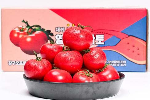2025. 3월 영덕 토마토 사진
