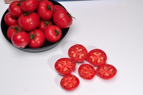 2025. 3월 영덕 토마토 사진