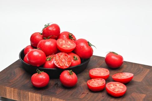 2025. 3월 영덕 토마토 사진