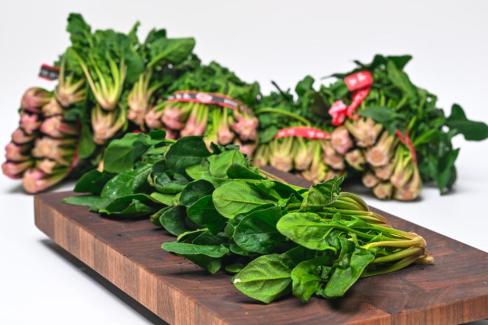 2025. 3월 영해 시금치