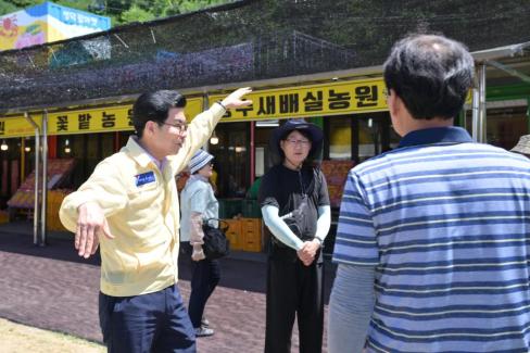 2025. 7. 25 영해 복숭아장터 사진