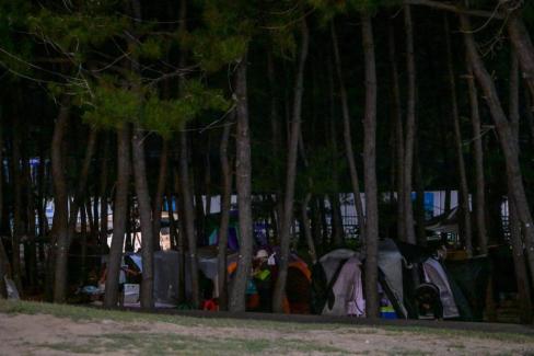 2025. 8. 2 고래불해수욕장 송림 캠핑 사진