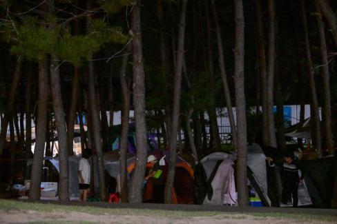 2025. 8. 2 고래불해수욕장 송림 캠핑 사진