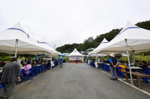 2025. 9. 20 병곡 영3리 꽃길따라 미륵골 꽃 축제
