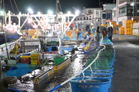2025. 11. 29 강구수협, 북부수협 위판장