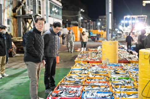 2025. 11. 29 강구수협, 북부수협 위판장 사진