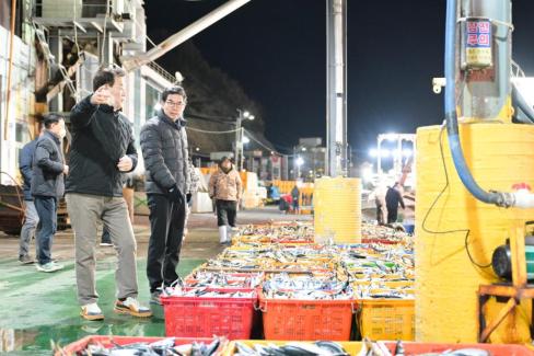 2025. 11. 29 강구수협, 북부수협 위판장 사진