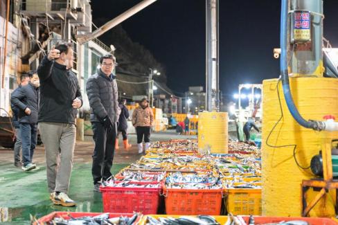 2025. 11. 29 강구수협, 북부수협 위판장 사진