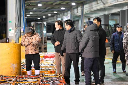 2025. 11. 29 강구수협, 북부수협 위판장 사진