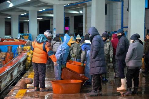 2025. 11. 29 강구수협, 북부수협 위판장 사진