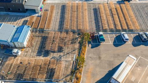 2025. 12. 6 축산항 오징어 건조