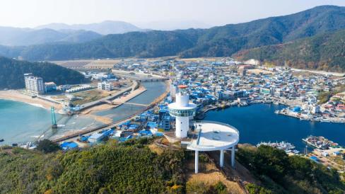 2025. 11. 26 축산항 죽도산 전망대 사진